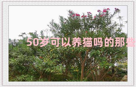 50岁可以养猫吗的那些事