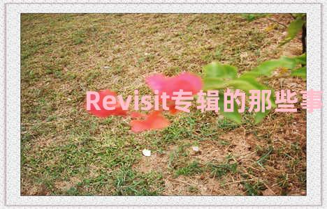 Revisit专辑的那些事