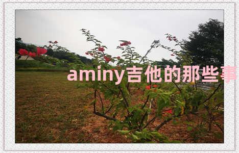 aminy吉他的那些事