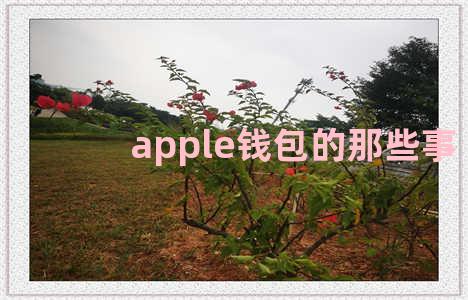 apple钱包的那些事