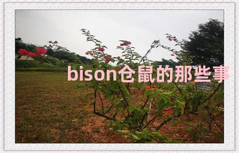 bison仓鼠的那些事