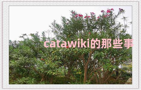 catawiki的那些事