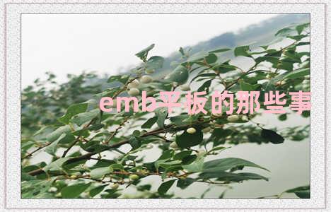 emb平板的那些事