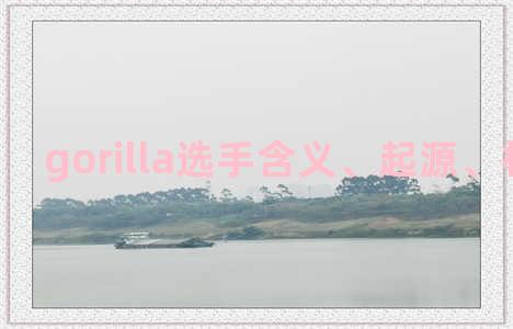 gorilla选手含义、起源、相关知识