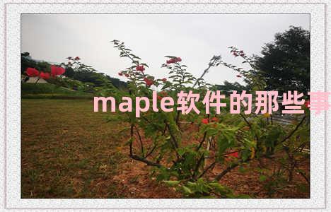 maple软件的那些事