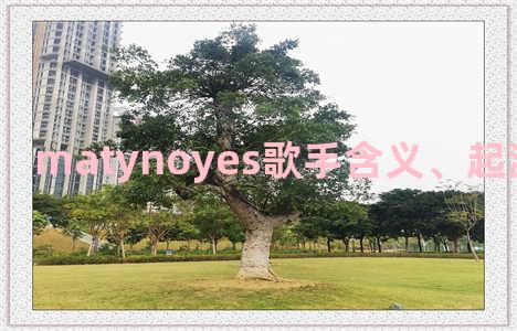 matynoyes歌手含义、起源、相关知识