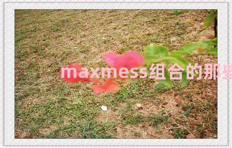 maxmess组合的那些事