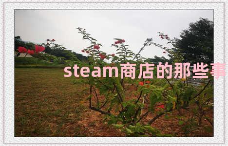 steam商店的那些事