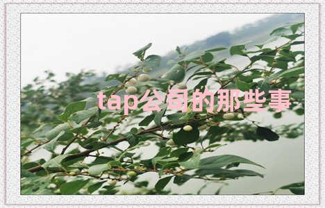 tap公司的那些事