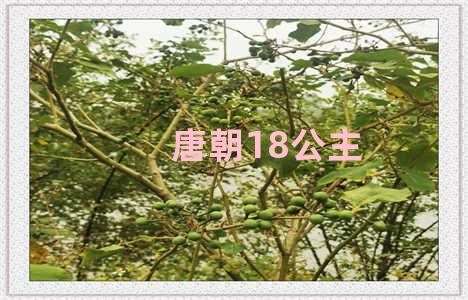 唐朝18公主