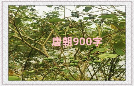 唐朝900字