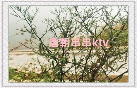 唐朝串串ktv