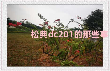 松典dc201的那些事