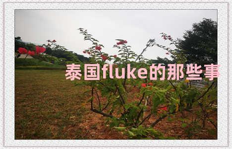 泰国fluke的那些事