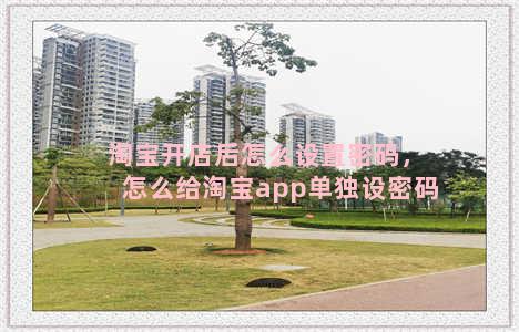 淘宝开店后怎么设置密码，怎么给淘宝app单独设密码