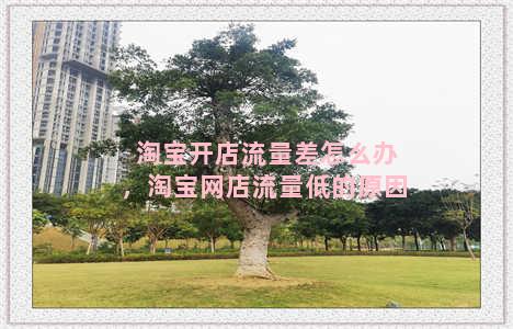 淘宝开店流量差怎么办，淘宝网店流量低的原因