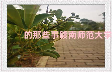 的那些事赣南师范大学