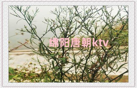 绵阳唐朝ktv