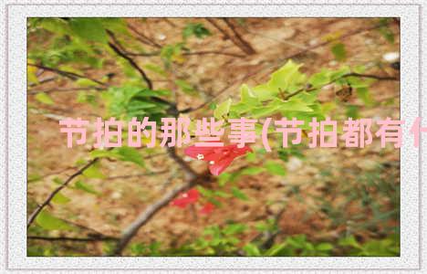 节拍的那些事(节拍都有什么)