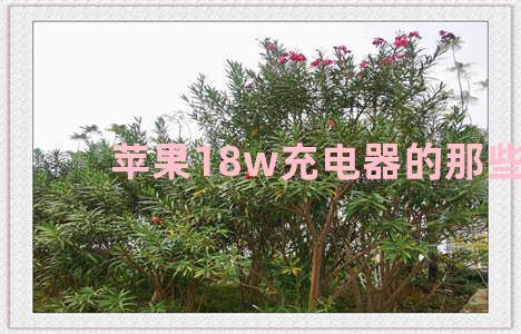 苹果18w充电器的那些事