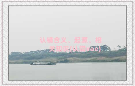 认错含义、起源、相关知识(认错vae)