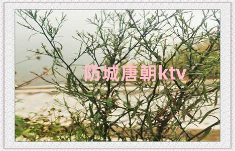 防城唐朝ktv